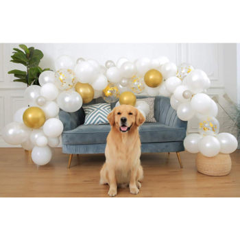 thumb_5m White & Gold Theme Balloon Garland Decorating Kit 110pcs