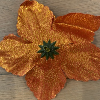 thumb_13cm Burnt Orange Poinsettia Christmas Flower