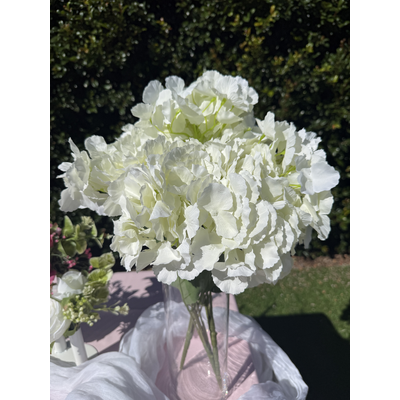 thumb_45cm  Budget Hydrangea Stem White/Cream