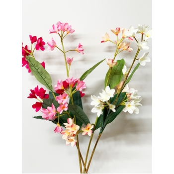 thumb_90cm Peach/Pink Frangipani Stem