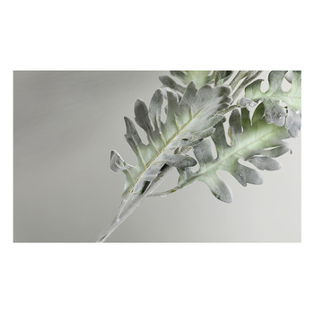 thumb_74cm Flocked Dusty Miller - Green/Lav