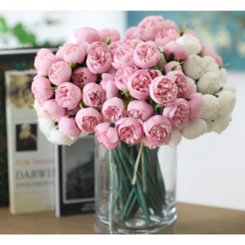thumb_27 Head Champagne Peony Bouquet/Filler Flower Bunch