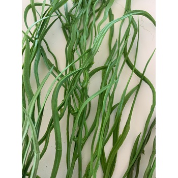 thumb_81cm Dark Green Bushy Trailing Greenery
