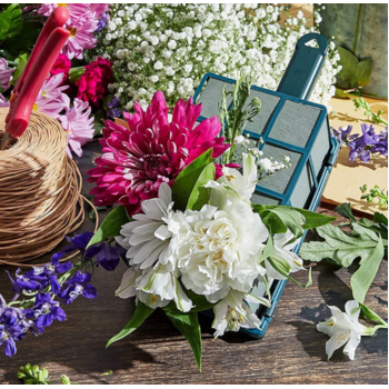 thumb_Green Casket Cage 