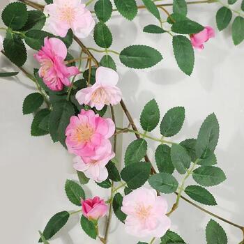 thumb_1.8m Stunning Minature Rose Flower - Pink Two Tone