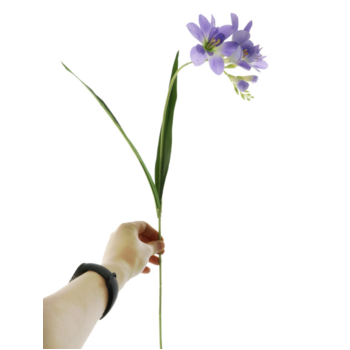 thumb_65cm - Light Purple Orchid Spray