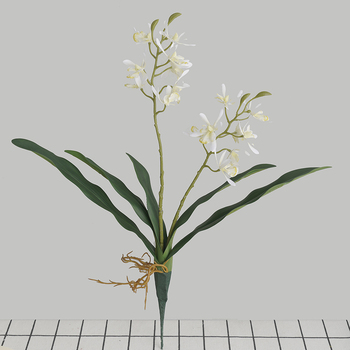 thumb_45cm Orchid Flower with Roots - White