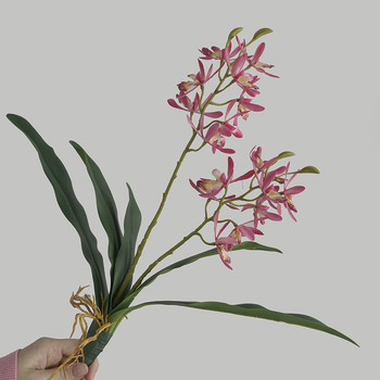 thumb_45cm Orchid Flower with Roots - Pink
