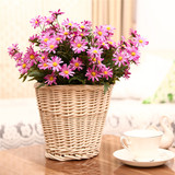 thumb_Daisy Small Filler Bunch - Pink