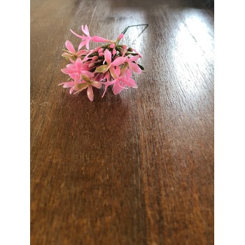 thumb_20cm Pretty Pink Filler Flowers - 12 stems