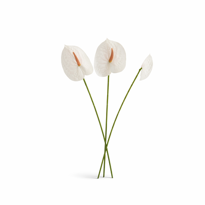 thumb_White Anthurium Stem Soft Touch 60cm