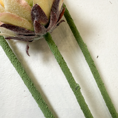 thumb_63cm Small Head Protea Green/White Artificial Stem