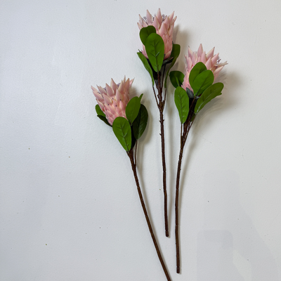 thumb_73cm King Protea Pink  - Artificial Stem