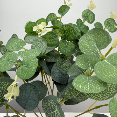 thumb_12 Pcs Green Verigated Eucalyptus Silver Dollar Stem - Artificial