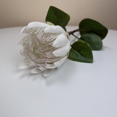 thumb_Soft Touch White Protea Flower Stem 66cm