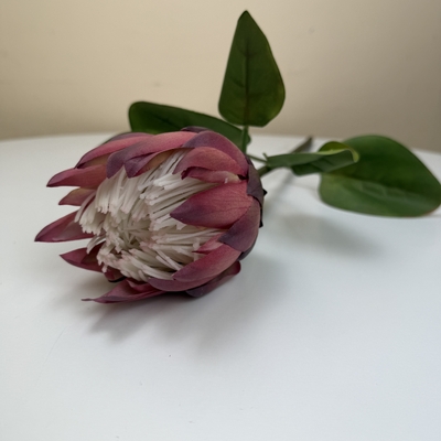 thumb_Soft Touch Dusty Rose Protea Flower Stem