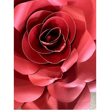 thumb_5pc set - Giant Paper Roses - Burgundy