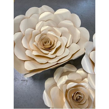 thumb_5pc set - Giant Paper Roses - Cream/Champ