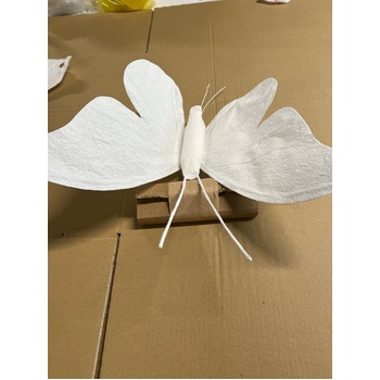 thumb_3pc Set - Giant Butterflies - White