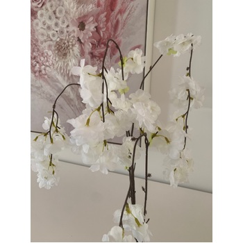 thumb_130cm White Weeping Style Cherry Blossom