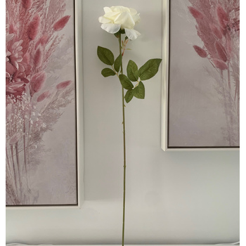 thumb_60cm - White/Cream Single Stem Rose 