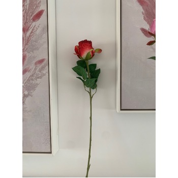 thumb_50cm - Red Single Stem Bud Rose