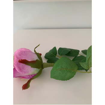 thumb_50cm - Violet Single Stem Bud Rose