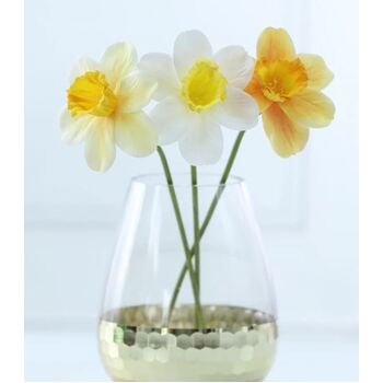 thumb_30cm Single Stem Daffodil - Yellow
