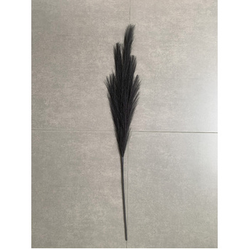 thumb_80cm Pampas Grass - Black