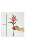 thumb_Lily Stem White