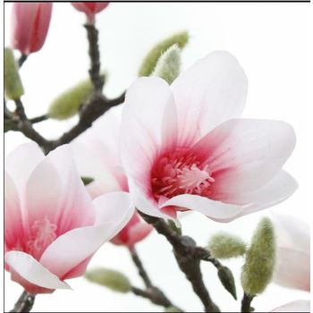 thumb_44cm Pink Magnolia Stem 
