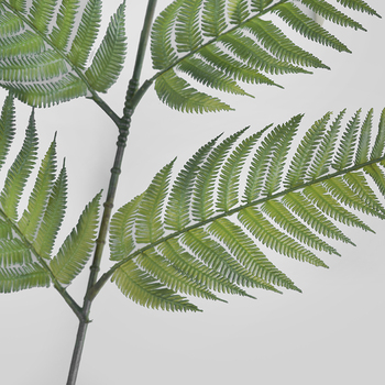 thumb_1.9m Giant Fern Branch - (Aus Post not available on this item)