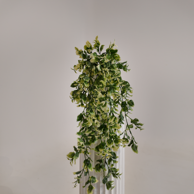 thumb_Green/White Trailing Variegated Foliage Spray 75cm Artificial