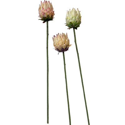 thumb_63cm Small Head Protea Ivory/Cream with Green Base - Artificial Stem