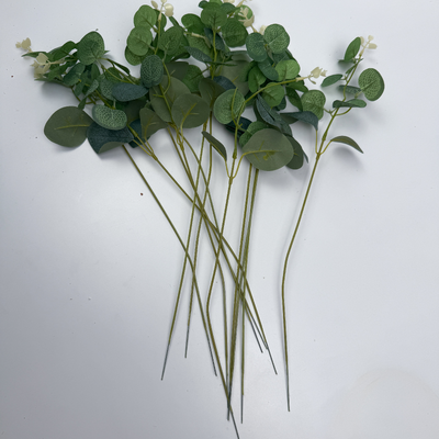 thumb_12 Pcs Green Verigated Eucalyptus Silver Dollar Stem - Artificial