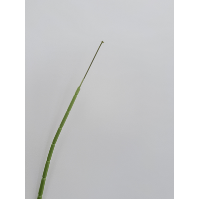 thumb_110cm Artificial Trailing Greenery Stem – Willow Style