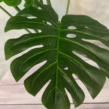 thumb_125cm Artificial Monstera Plant - Potted