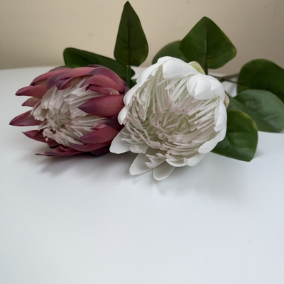 thumb_Soft Touch White Protea Flower Stem 66cm