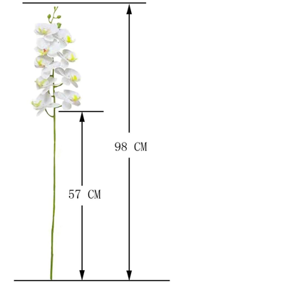thumb_White Phalaenopsis Orchid Stem - 9 Head – 98cm