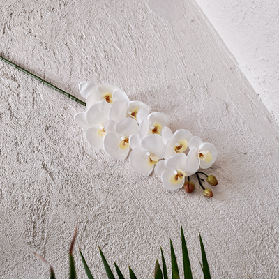 thumb_White Soft Touch Phalaenopsis Orchid Stem – 100cm Artificial Flower