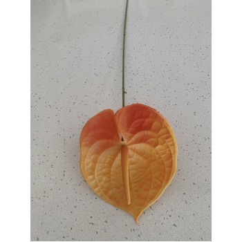 thumb_67cm - Orange Anthurium Flower