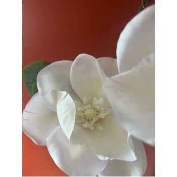 thumb_80cm White 3 Head Magnolia Stem