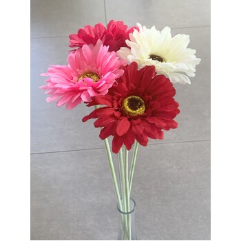 thumb_Gerbera Daisy Stem - White/Cream