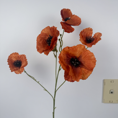 thumb_Burnt Orange Spray Stem - 76cm – 5 Head