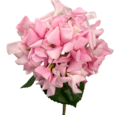 thumb_Real Touch Pink Hydrangea Artificial Flower Stem– 60cm