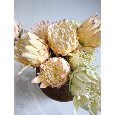 thumb_63cm Small Head Protea Ivory/Cream with Burgundy Base - Artificial Stem