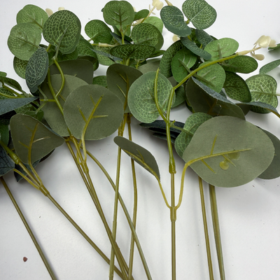 thumb_12 Pcs Green Verigated Eucalyptus Silver Dollar Stem - Artificial