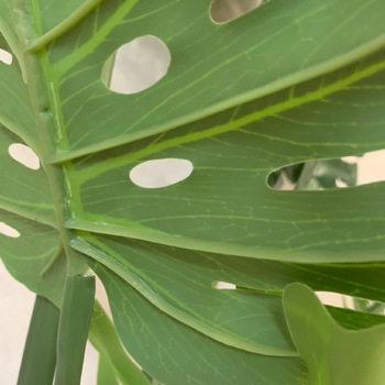 thumb_125cm Artificial Monstera Plant - Potted