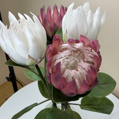 thumb_Soft Touch Dusty Rose Protea Flower Stem
