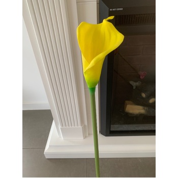 thumb_70cm Real Touch Calla Lily - Yellow